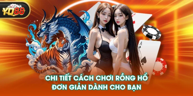Chi tiết cách chơi rồng hổ đơn giản dành cho bạn