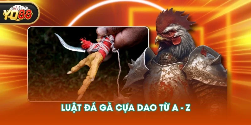 Luật đá gà cựa dao từ A - Z Luật đá gà cựa dao từ A - Z