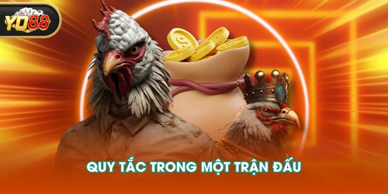 Quy tắc trong một trận đấu