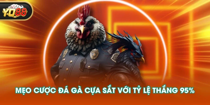 Mẹo cược đá gà cựa sắt với tỷ lệ thắng 95%
